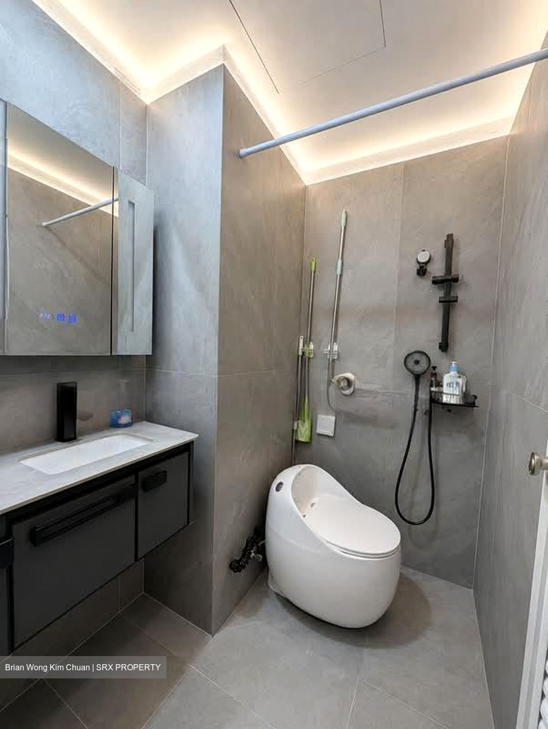 The Rochester Residences (D5), Apartment #602636311